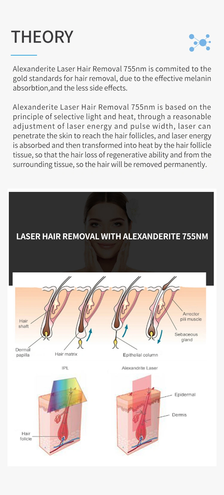 755/1064 Nm Alexandrite Hair Removal Laser Original Version with Fiber Laser Beauty Equipment 1064 Laser